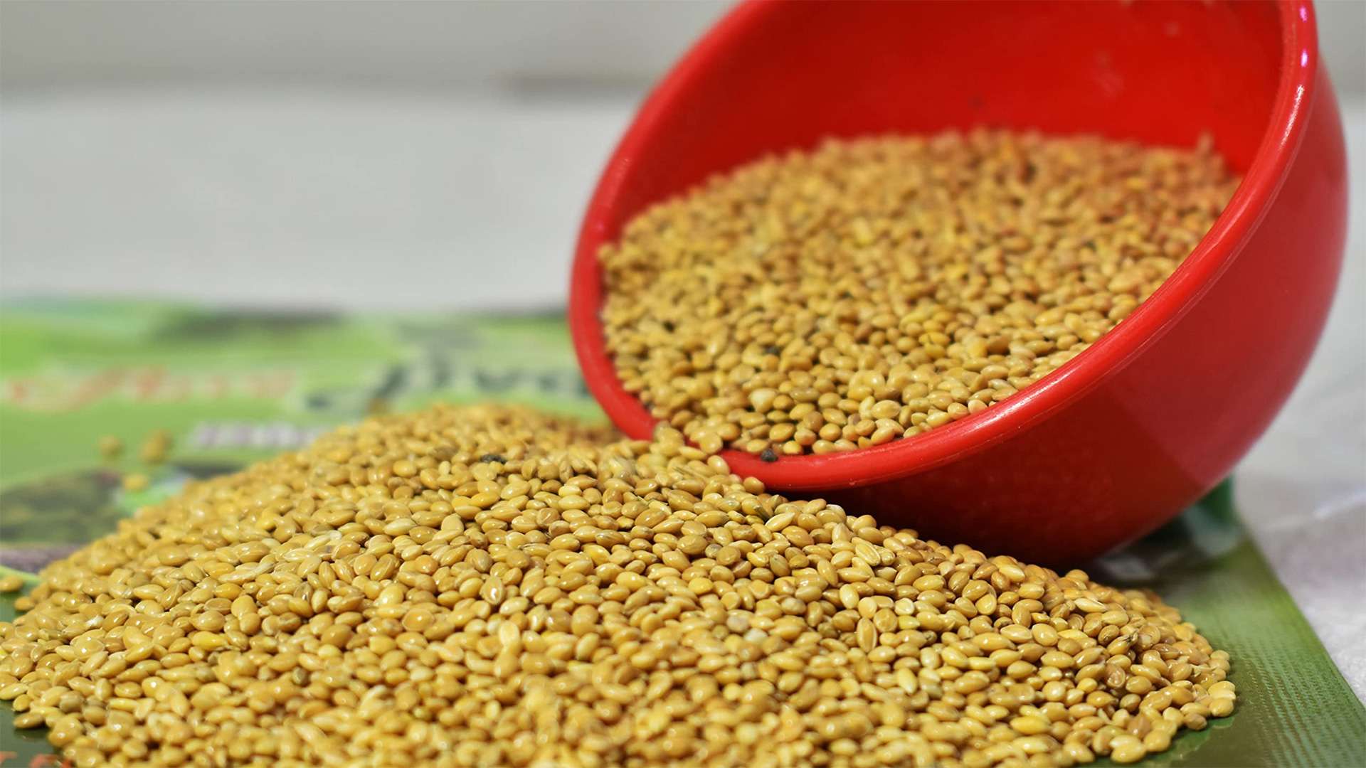 Yellow Millet Pak Arab International